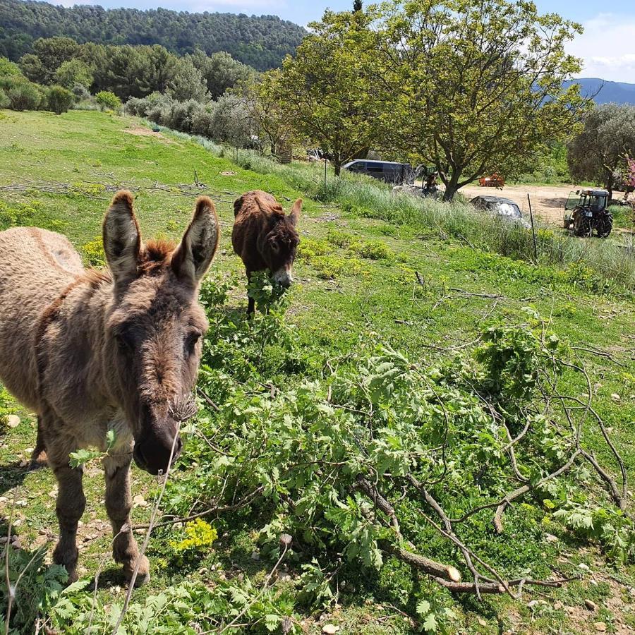 Bastide Bellugue Maison D'Hotes Reseau Bienvenue A La Ferme A 3 Minutes De Lourmarin Cadenet Buitenkant foto
