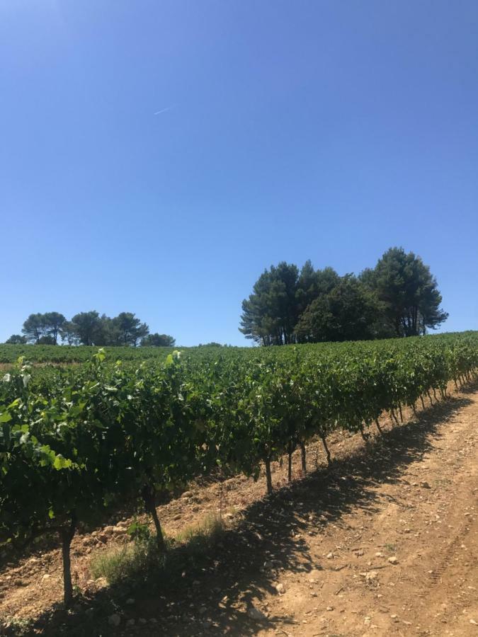 Bastide Bellugue Maison D'Hotes Reseau Bienvenue A La Ferme A 3 Minutes De Lourmarin Bed and Breakfast Cadenet Buitenkant foto