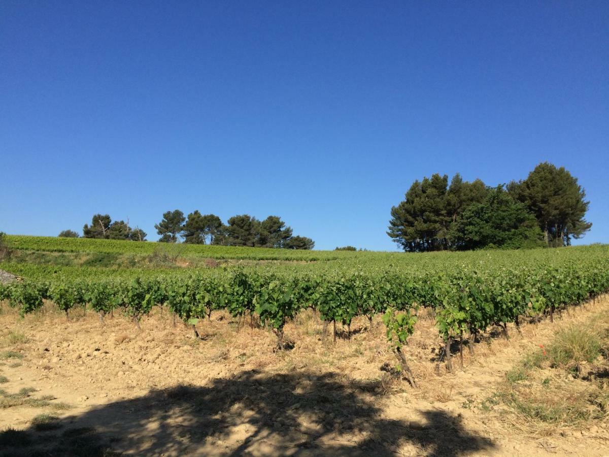 Bastide Bellugue Maison D'Hotes Reseau Bienvenue A La Ferme A 3 Minutes De Lourmarin Cadenet Buitenkant foto