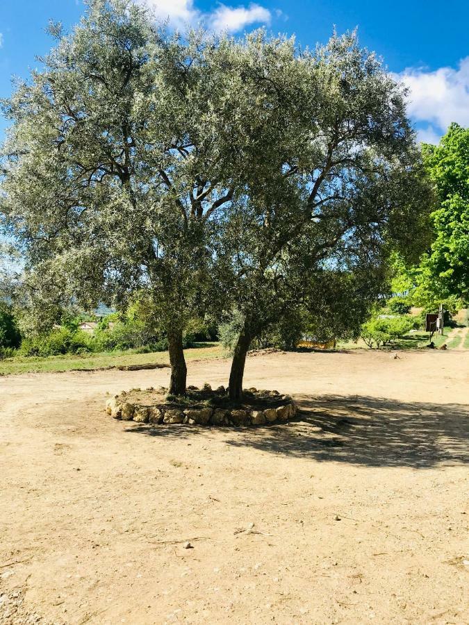 Bastide Bellugue Maison D'Hotes Reseau Bienvenue A La Ferme A 3 Minutes De Lourmarin Bed and Breakfast Cadenet Buitenkant foto